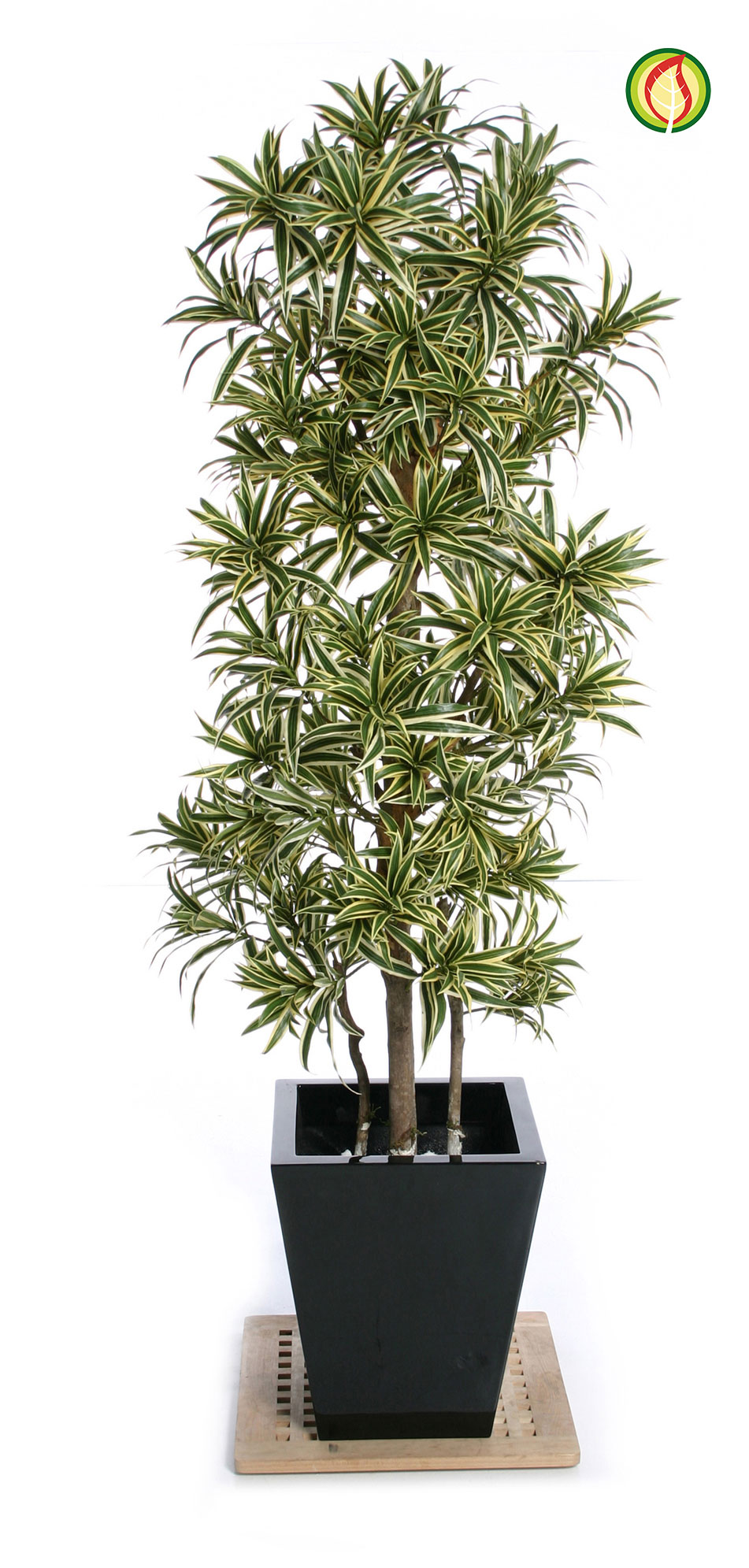 Artificial Tropical & Exotic Trees from plantART