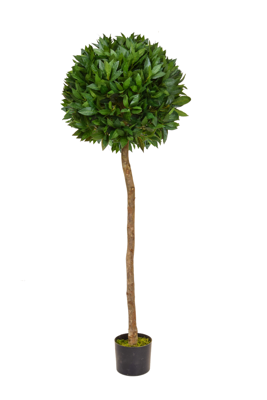 Artificial Topiary Trees & Artificial Bay Trees from plantART