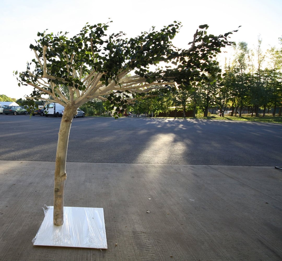 Bespoke Artificial Corner and Leaning Trees Design Example