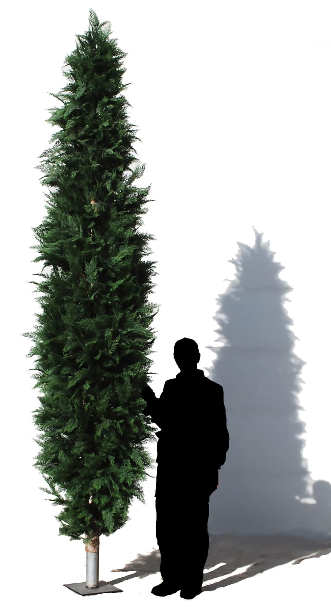 Bespoke Artificial Cypress Trees Design Example