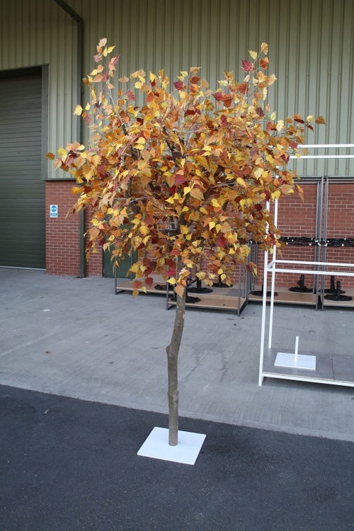 Bespoke Artificial Birch Trees with Fake Autumn Foliage Design Example