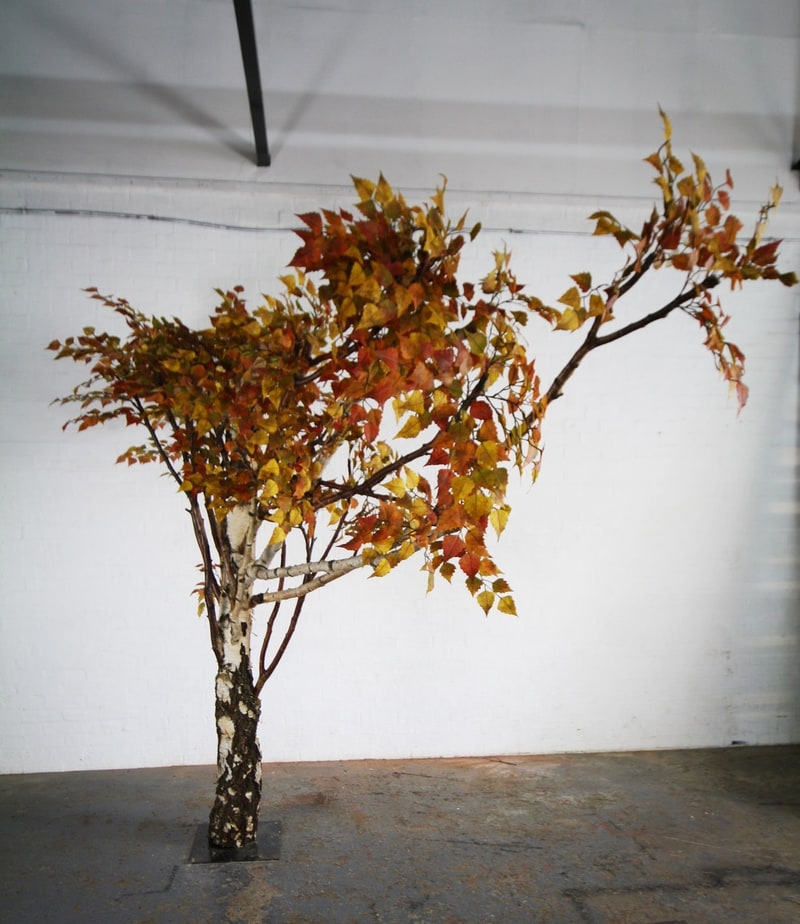 Bespoke Artificial Birch Trees with Fake Autumn Foliage Design Example
