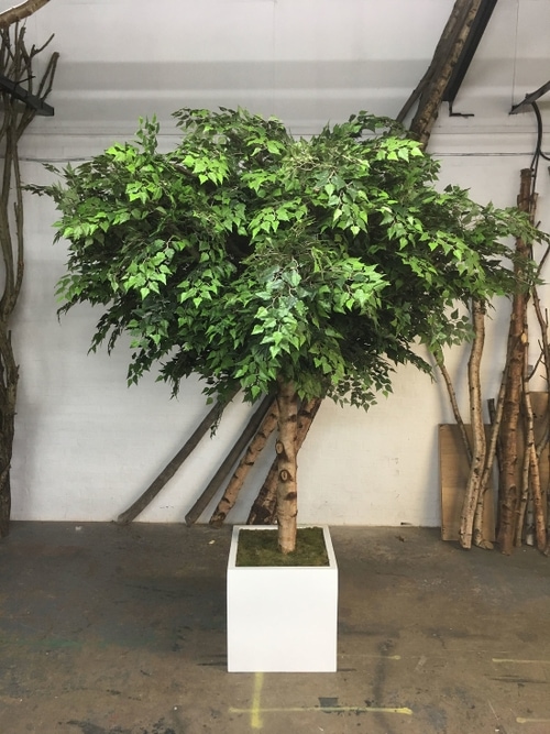 Bespoke Artificial Green Birch Trees Design Example
