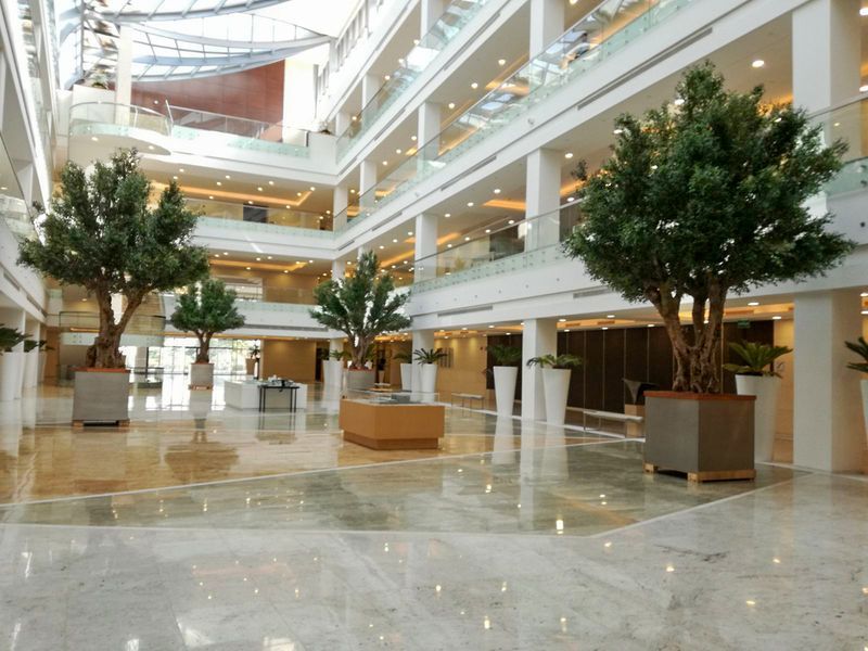 Bespoke Artificial Olive Trees Design Example