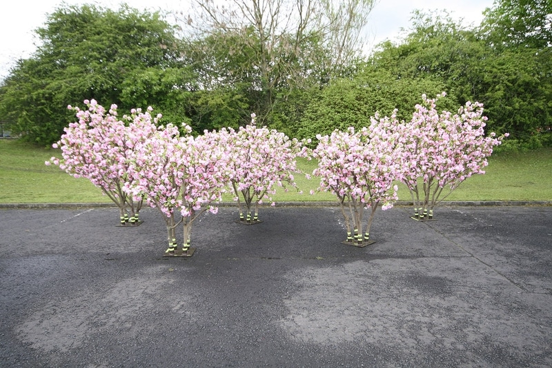 Bespoke Artificial Blossom Trees Design Example