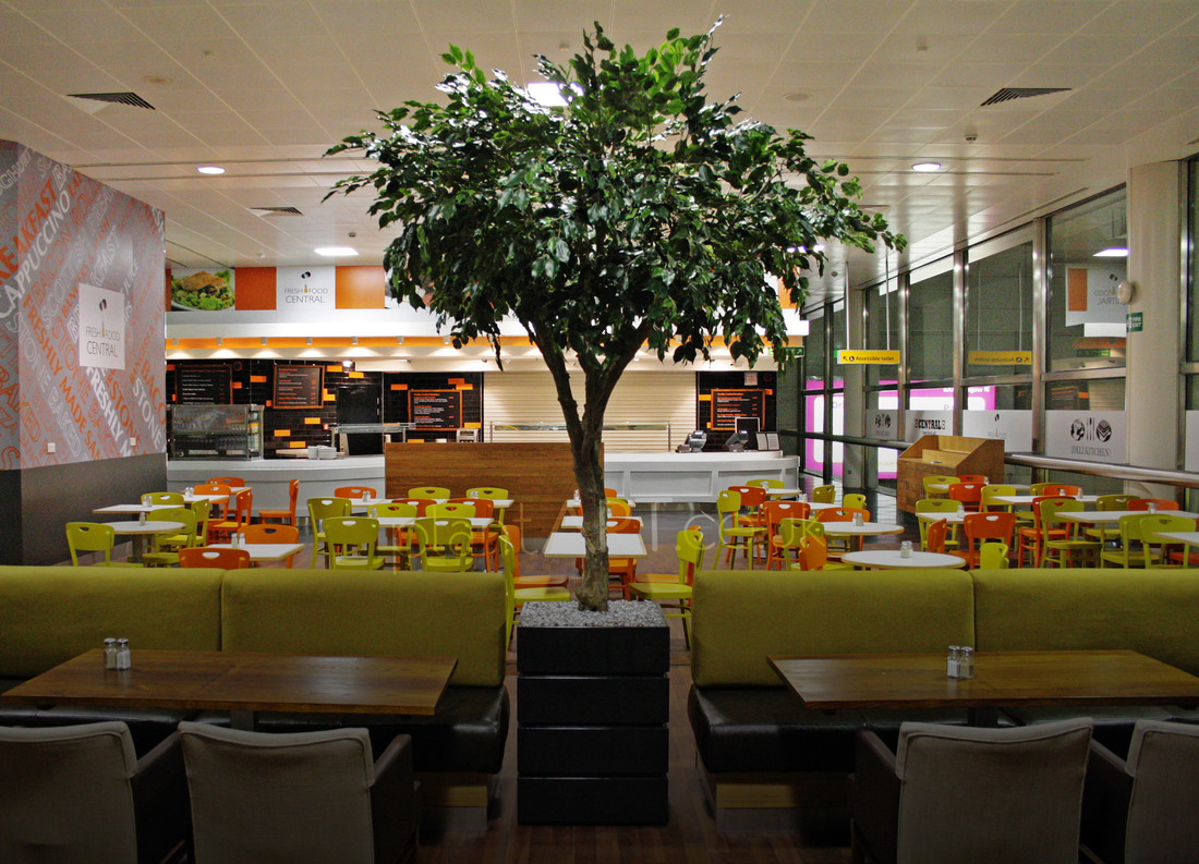 Bespoke Artificial Trees Example Glasgow Airport
