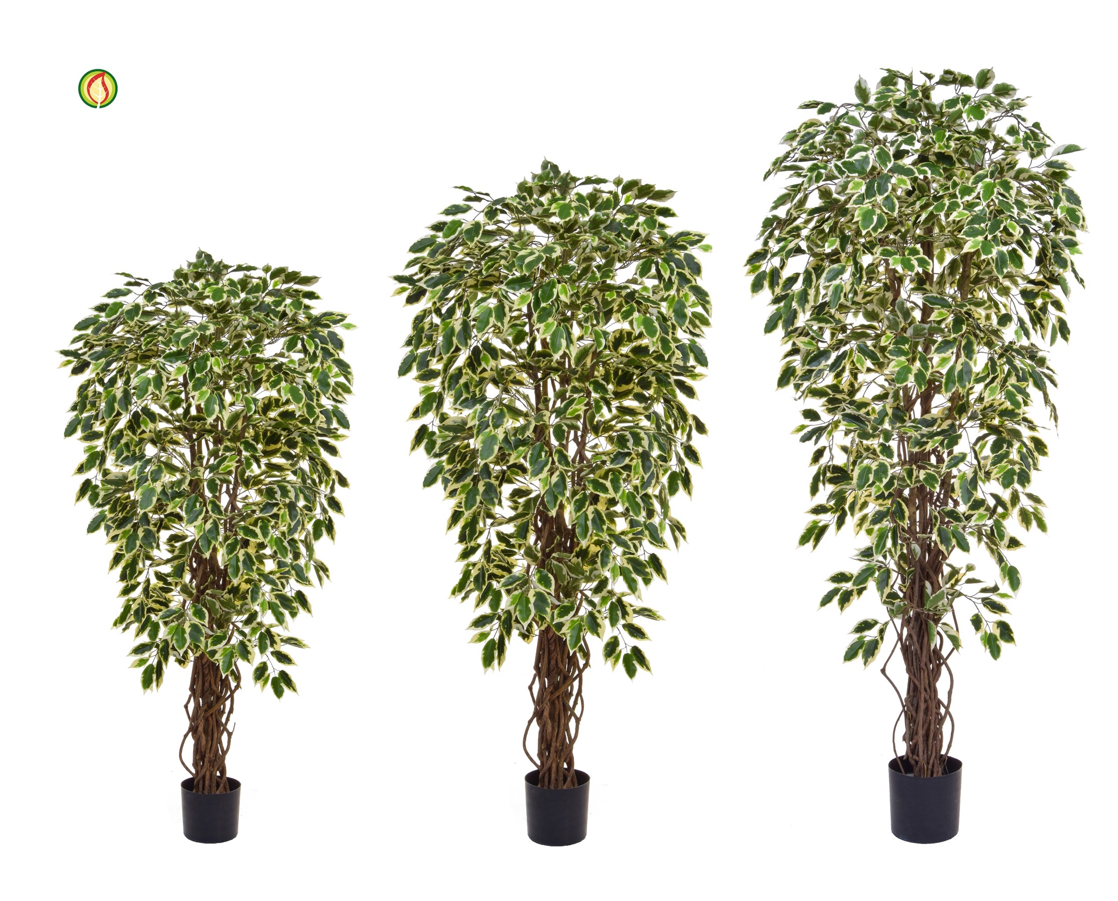 Artificial Ficus Trees from plantART