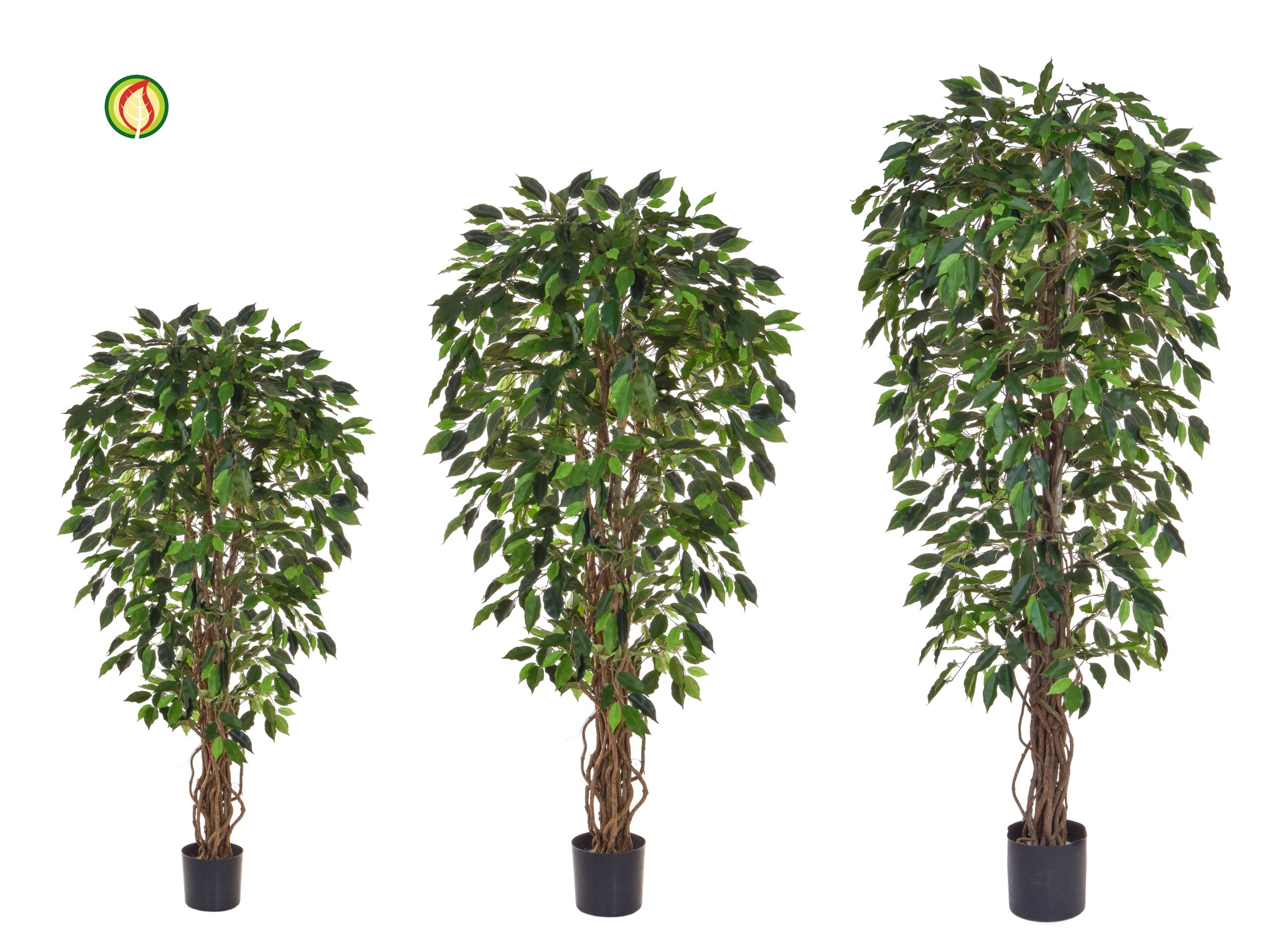 Artificial Green Ficus Liana Tree from plantART