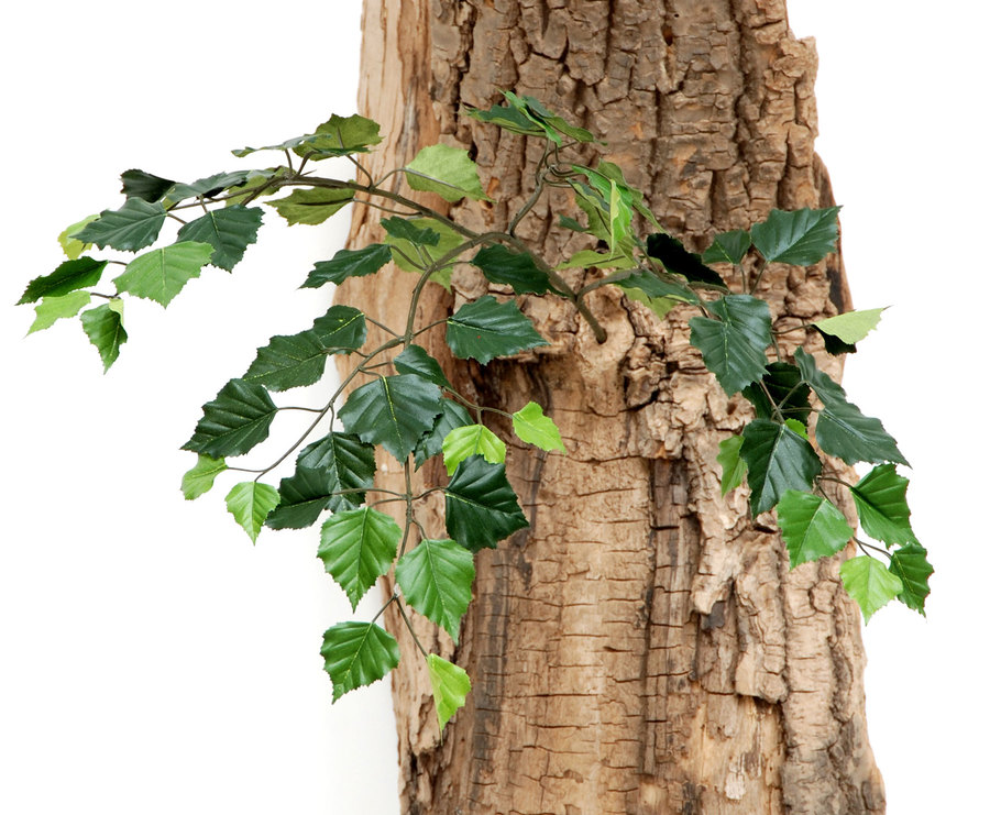 Artificial Tropical & Exotic Trees from plantART