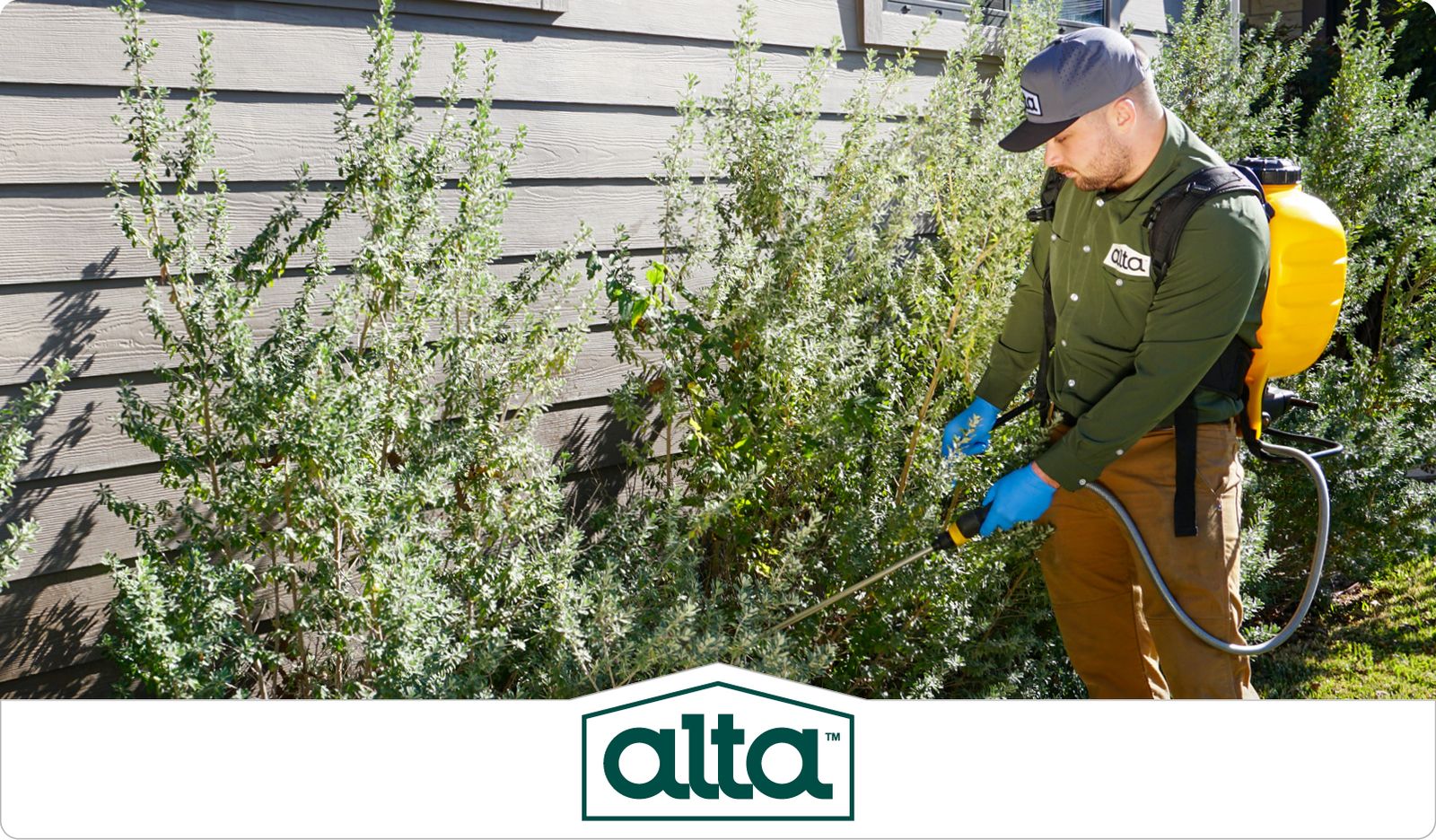 Commercial Pest Control Services | Alta Pest Control - Alta Pest Control Grand Prairie Reviews
