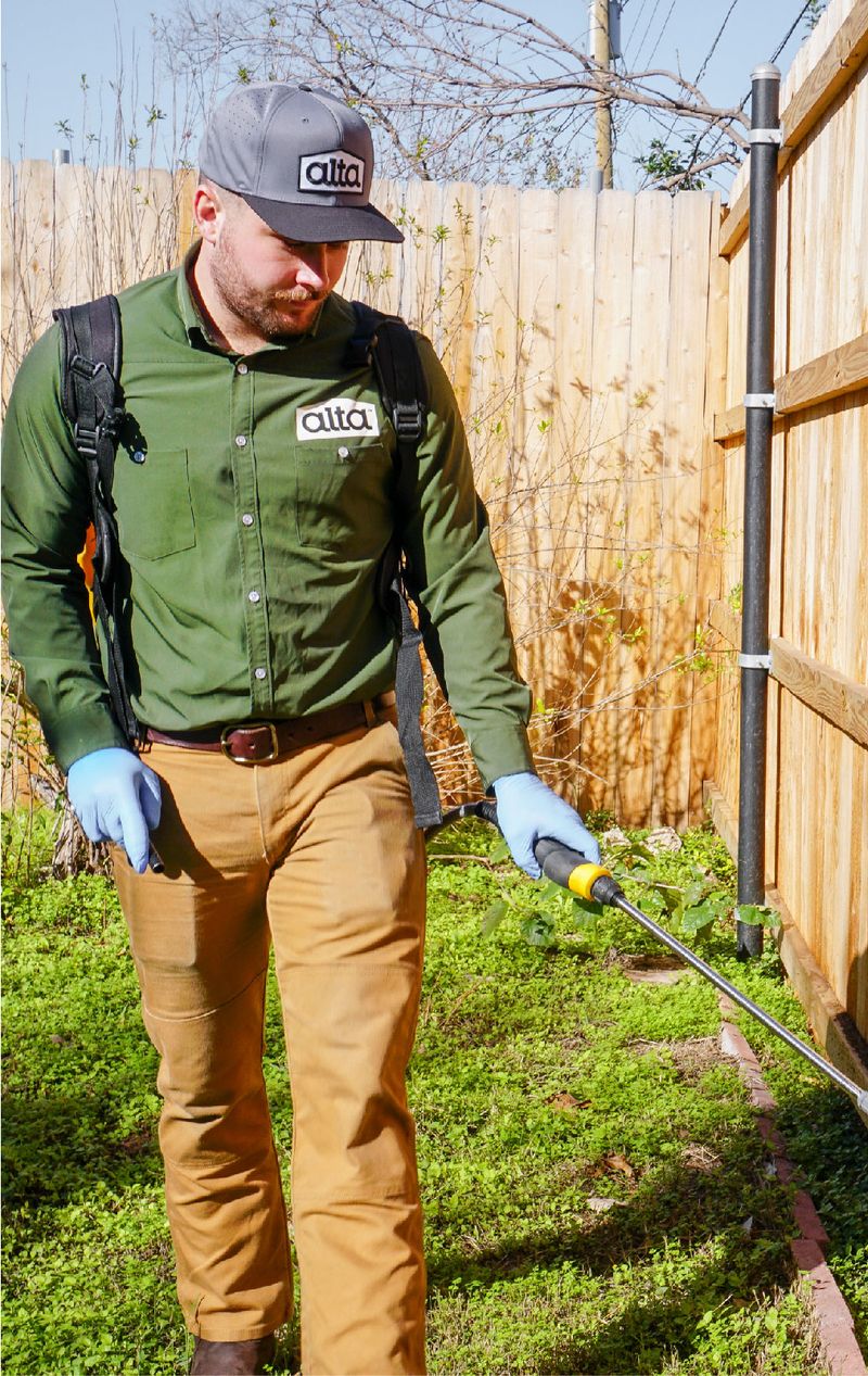 Alta Pest Control Termite, Mosquito & Pest Control Services