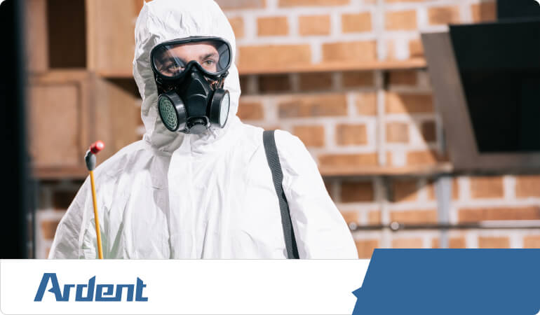 effective-quality-pest-control-dallas-texas