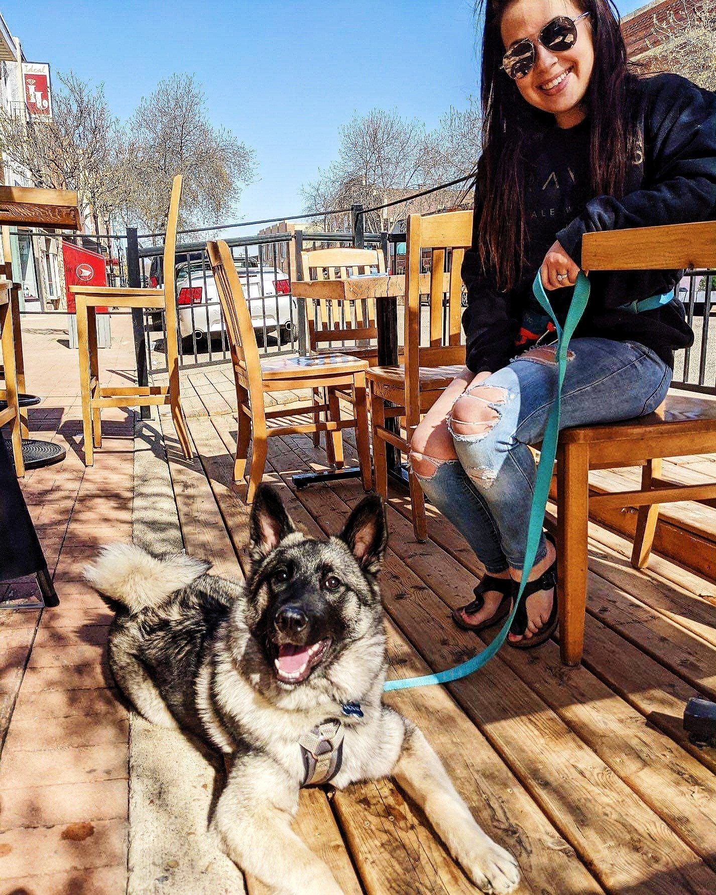 Dog Friendly Patio at Travois