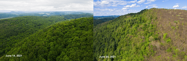 drone shot comparison 1