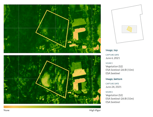 ldd compare report