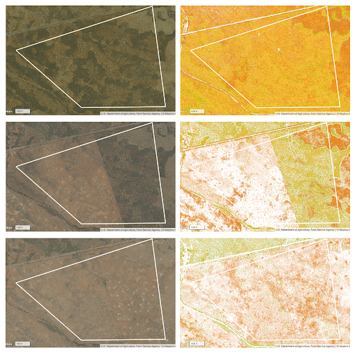 Woolhouse site NDVI