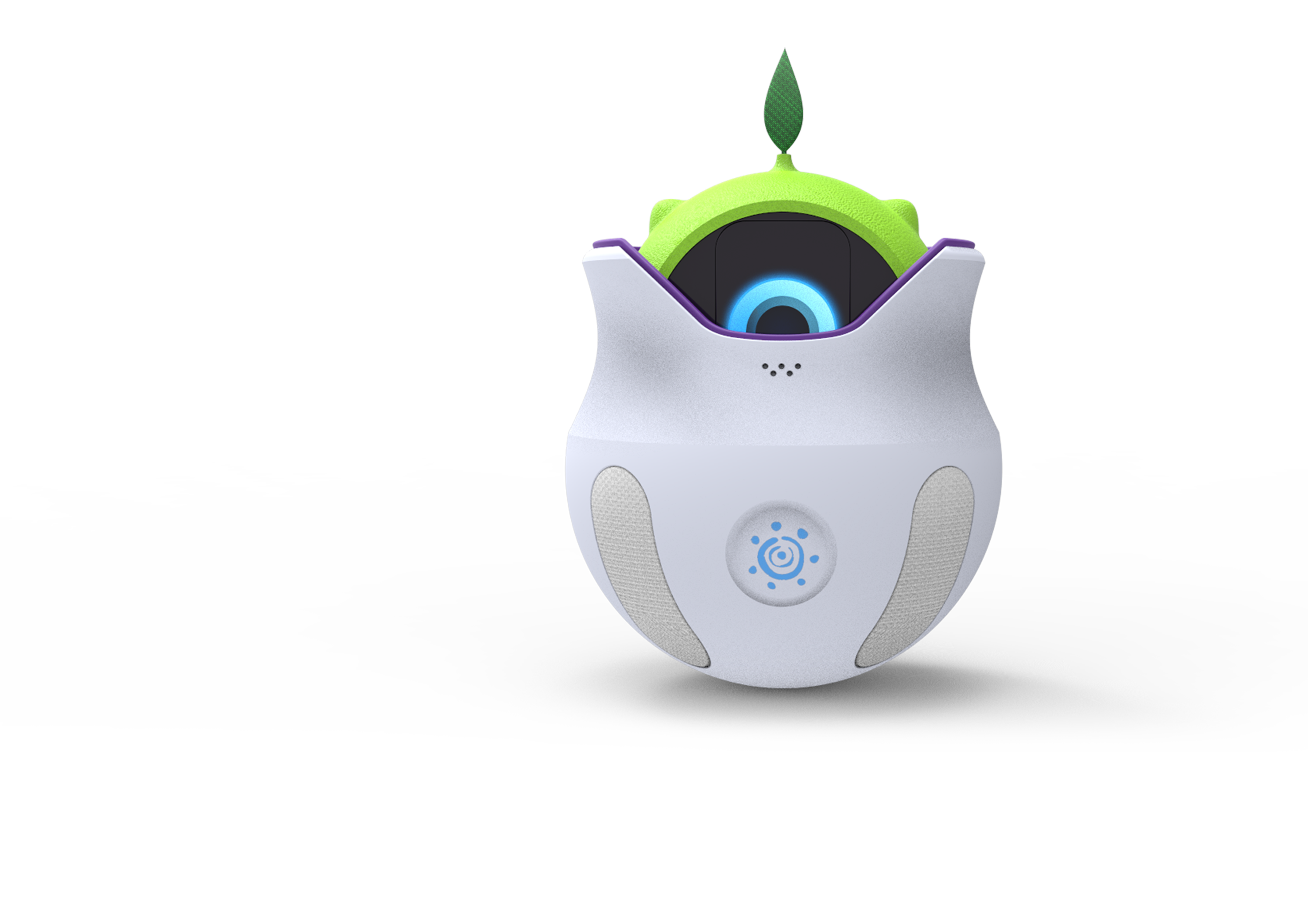 Image of the project
