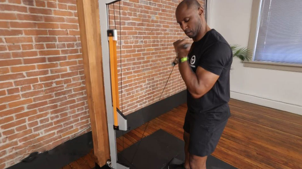 New Listing Alert TUT Trainer The Home Gym That Fits Anywhere