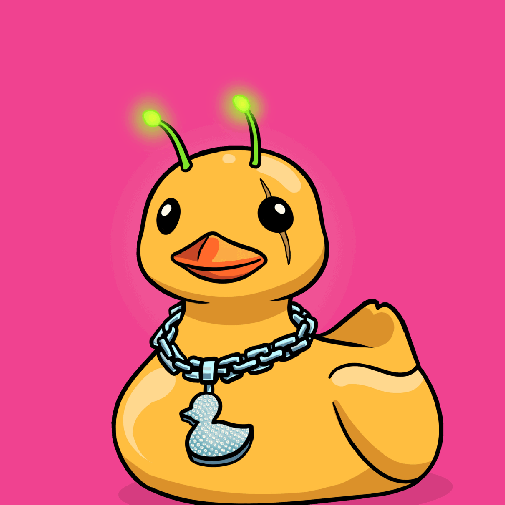 Rubber Duckiez by Floatiez