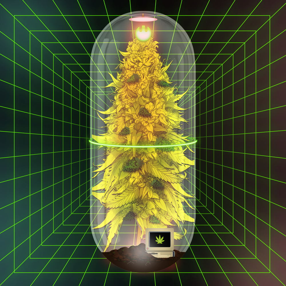 Weed LAB