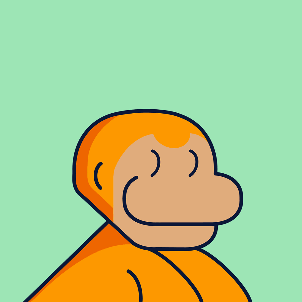 Solana Monkey Art
