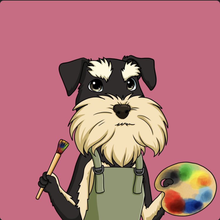 Gatsby the Schnauzer