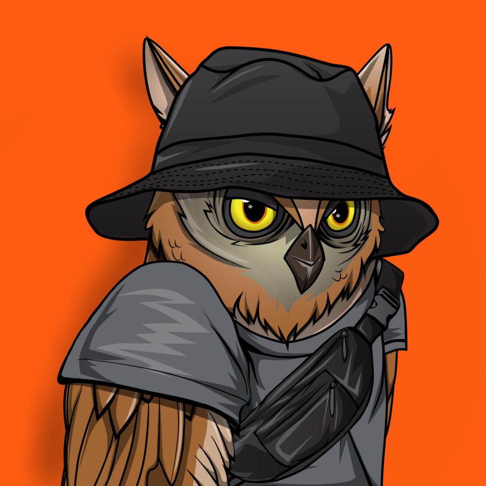 Night Owl Syndicate
