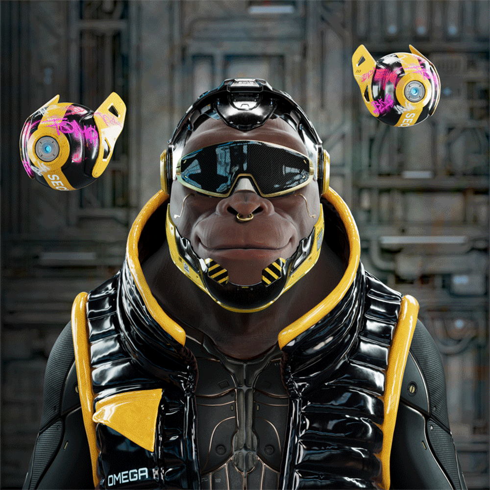 Omega Kongs
