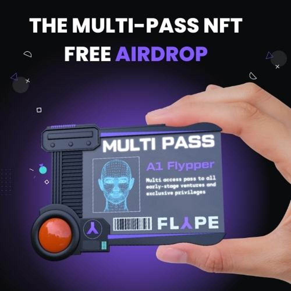 Flype Protocol - MULTI-PASS