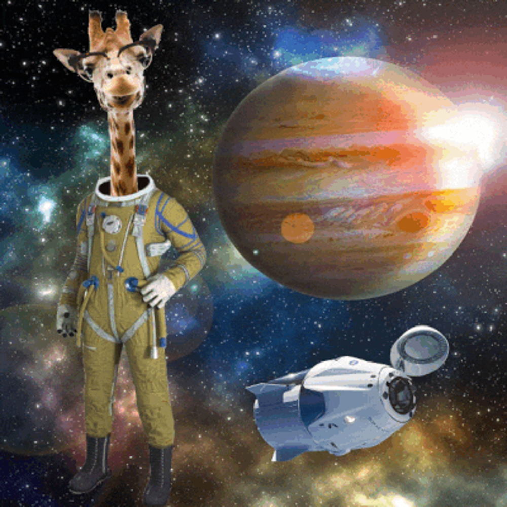 Go2Space
