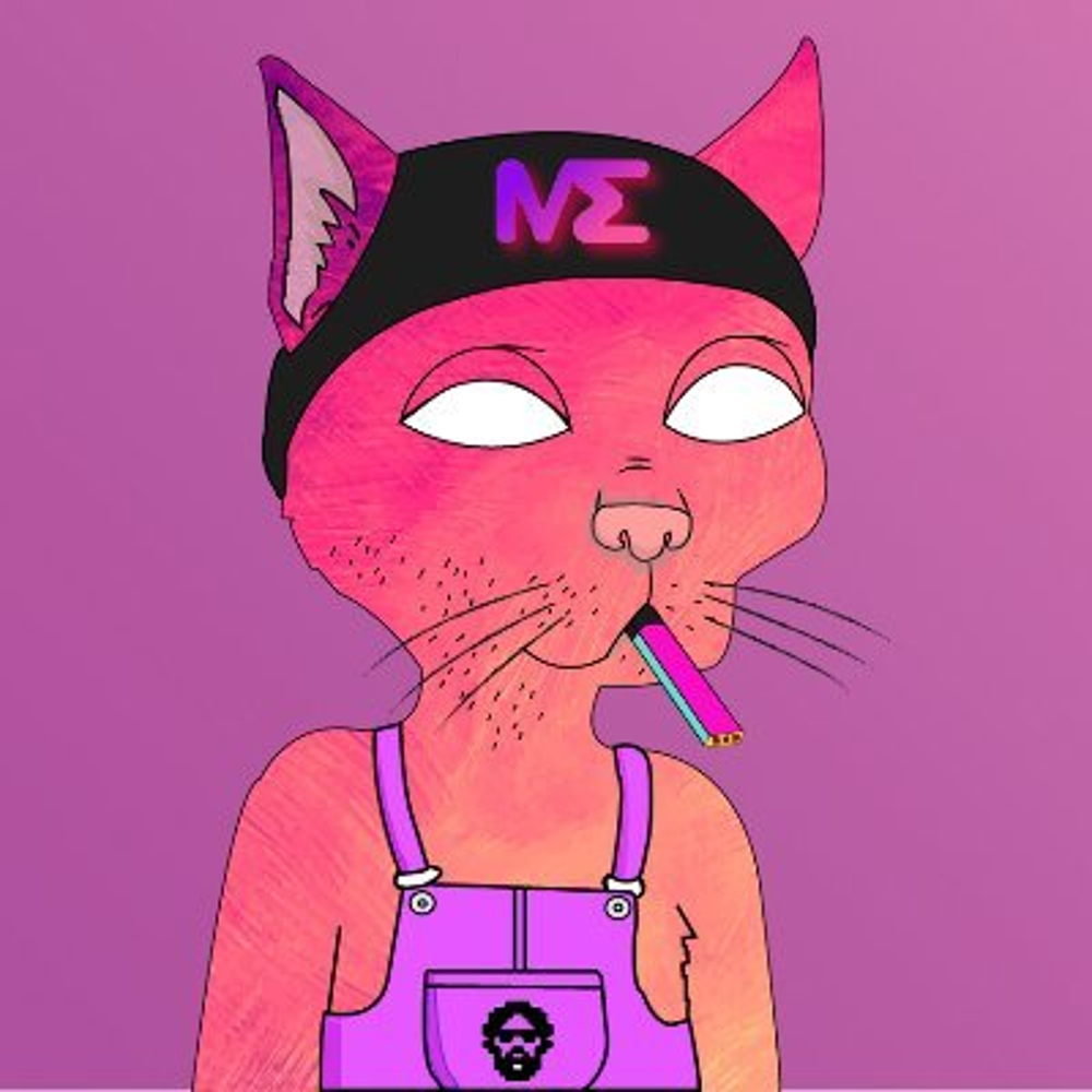 Summer Cats Gang