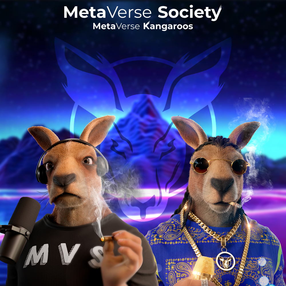 MetaVerse Society