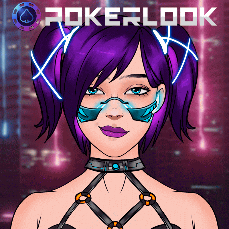 POKERLOOK