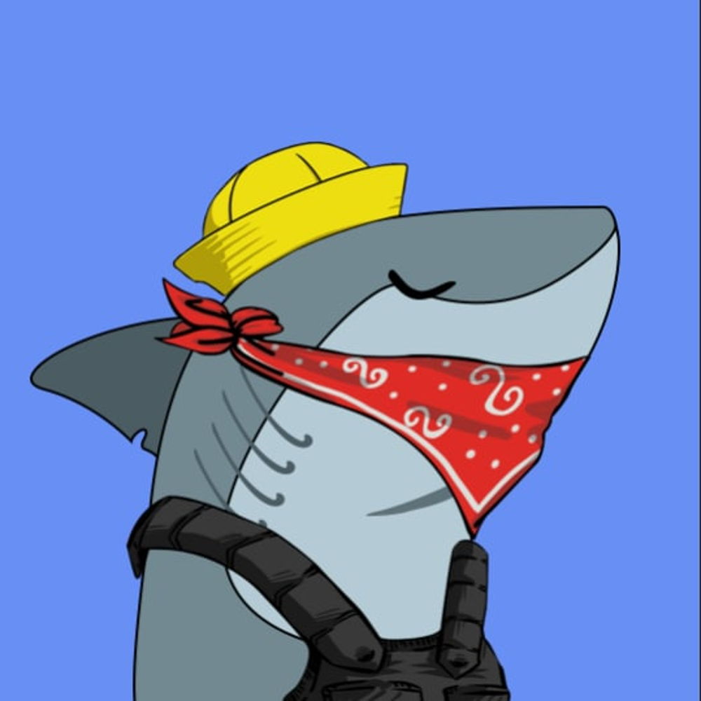 Crypto Shark