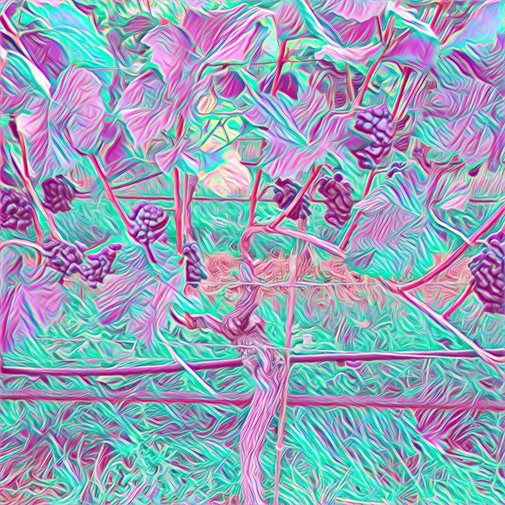 APEvine NFTs