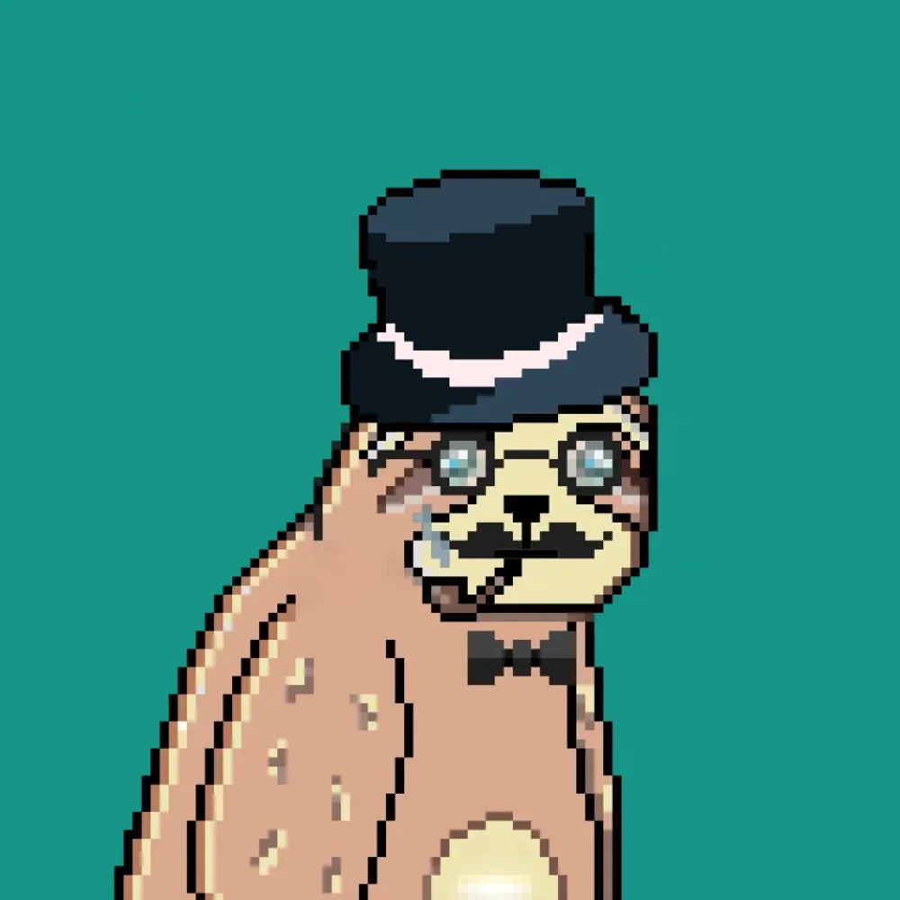 Wise Sloths