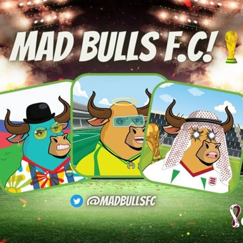 Mad Bulls F.C