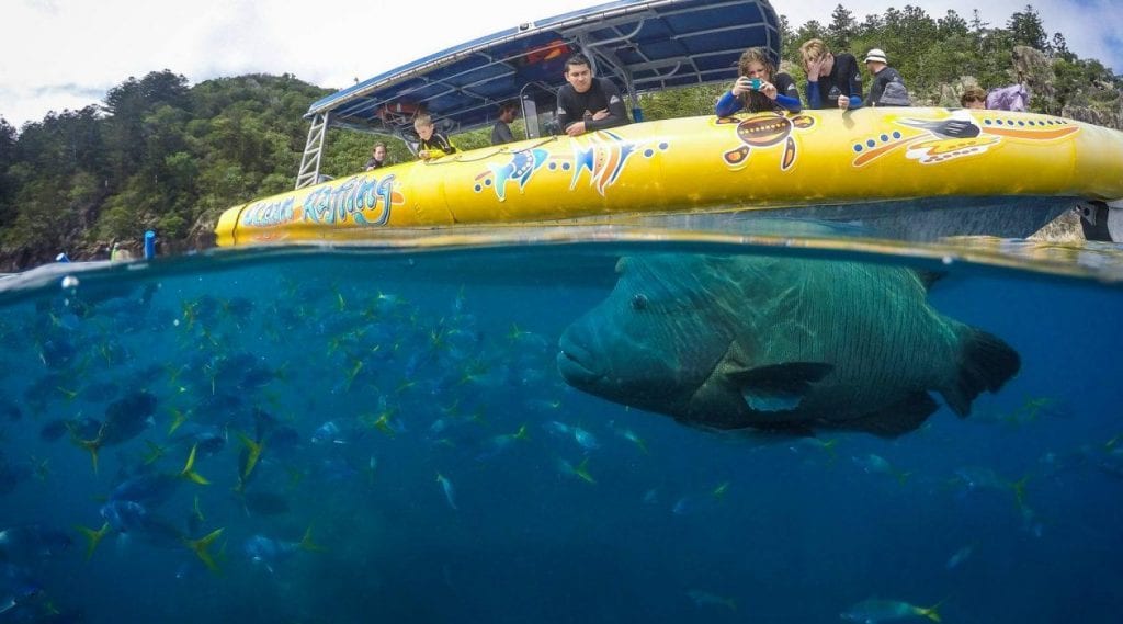 Ocean Rafting