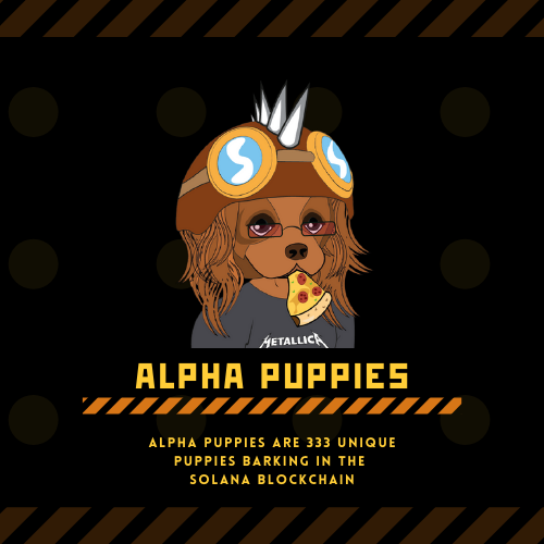 Alpha Puppies Public Launch