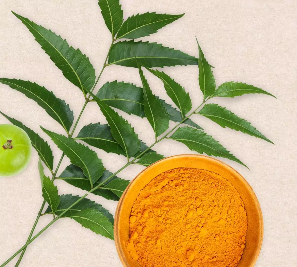 These Ayurvedic skincare ingredients can elevate your beauty routine