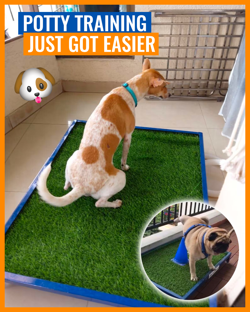 PottyTurf Realistic Grass Pee Pads Facebook Products