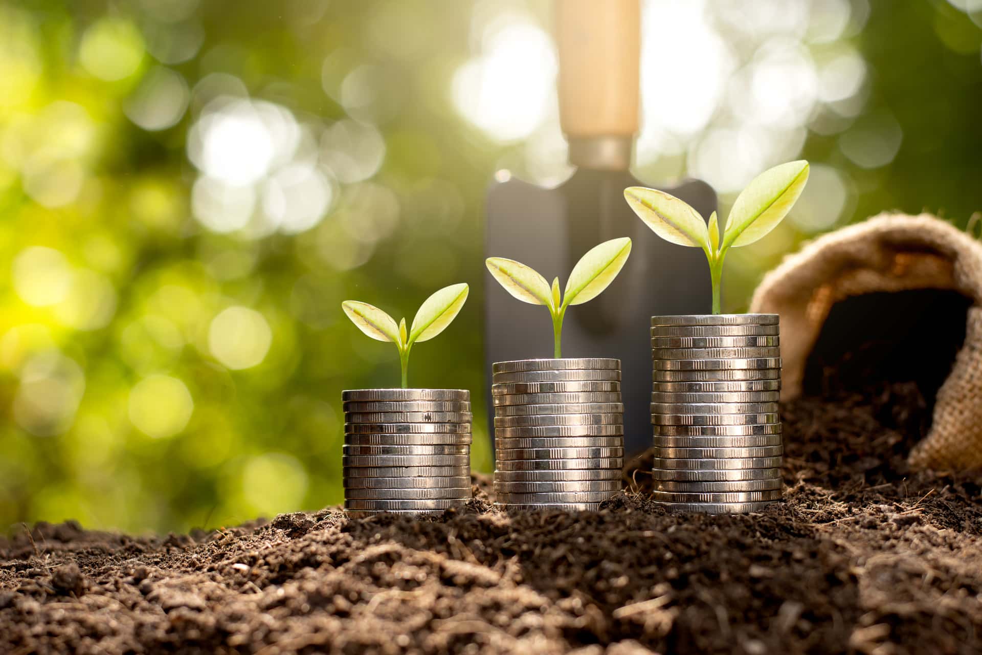 Coins with plants growing out of the top