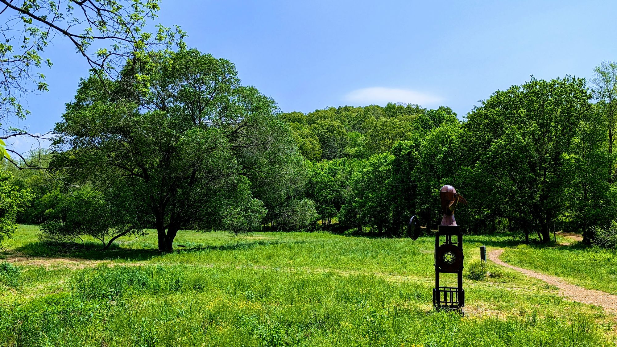 Discover Bella Vista