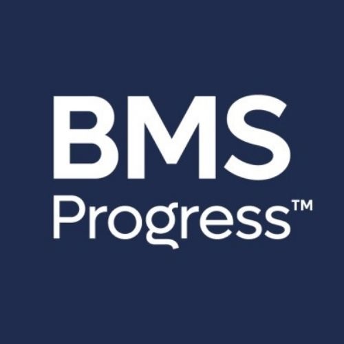 BMS Progress