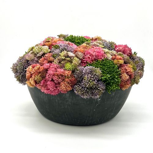 GREEN'S Bath Home Gifts / Catalog