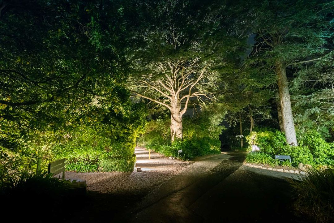 LED Garden Lights Garden LED Lighting Allera