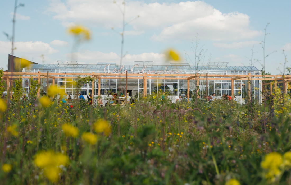 Café Clementine zoekt energieke Restaurant Manager Verlopen → Zuid