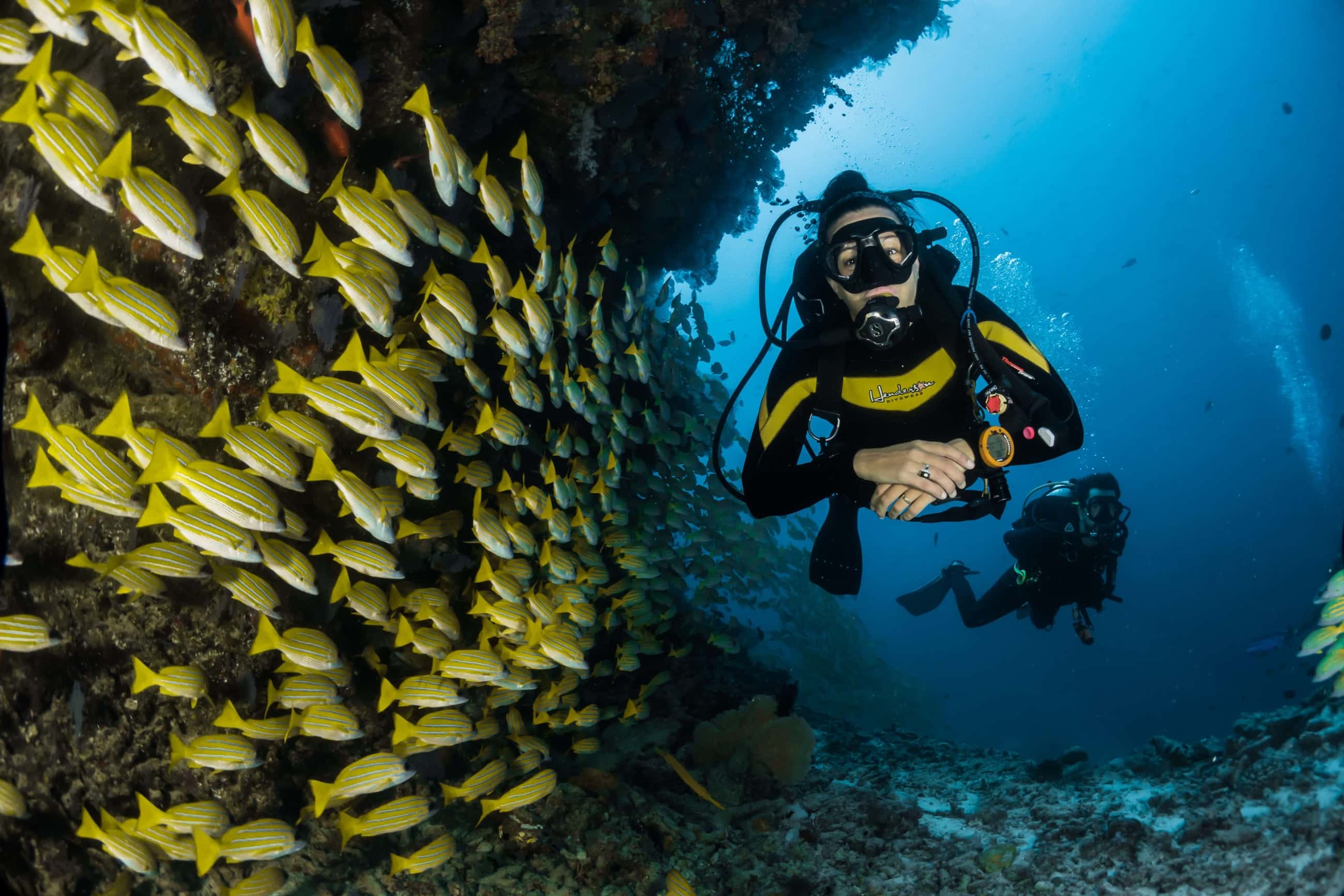 Fiji Diving Packages PADI 5 Star Captain Cook Cruises Fiji