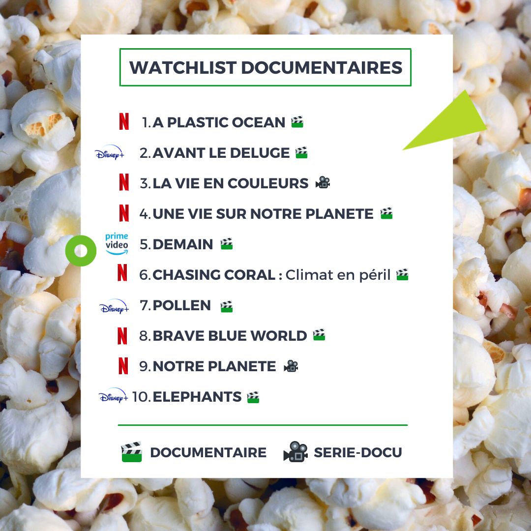 watchlist-documentaires-netlix-prime-video