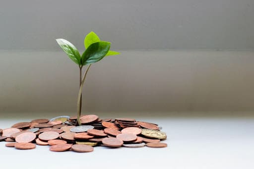 Pièces de monnaie sur une table blanche d’où sort une pousse de plante.